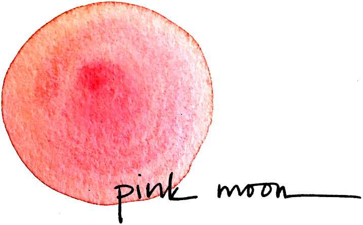 pink-moon-doula-logo