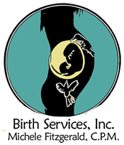 birth-services-inc-logo